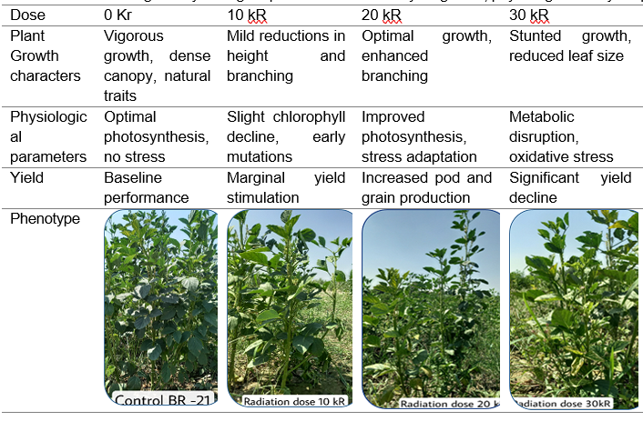 effect of mutagenesis