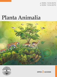 Planta Animalia